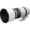Canon RF 100-500mm f/4.5-7.1L IS USM Lens - Image 3