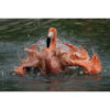 Sony FE 400-800mm f/6.3-8 G OSS Lens (Sony E) - Image 11